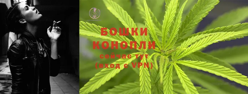 Каннабис OG Kush  маркетплейс официальный сайт  Мантурово 